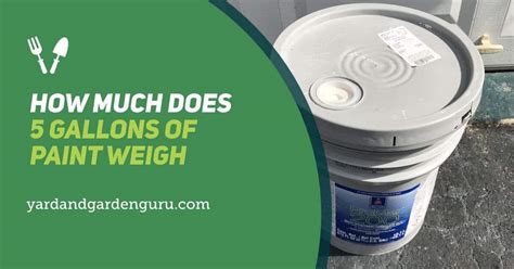 5 gallons of paint will weigh around 56.4 pounds (25.6 kg). This is based on one gallon weighing 11.2 pounds (5.1 kg). This is also for interior latex paint. Other types of paint with different densities will vary. How much does an empty gallon of paint weigh? Lined Empty Gallon Paint Can With Lid & Bale. Weight: 0.89 lb.